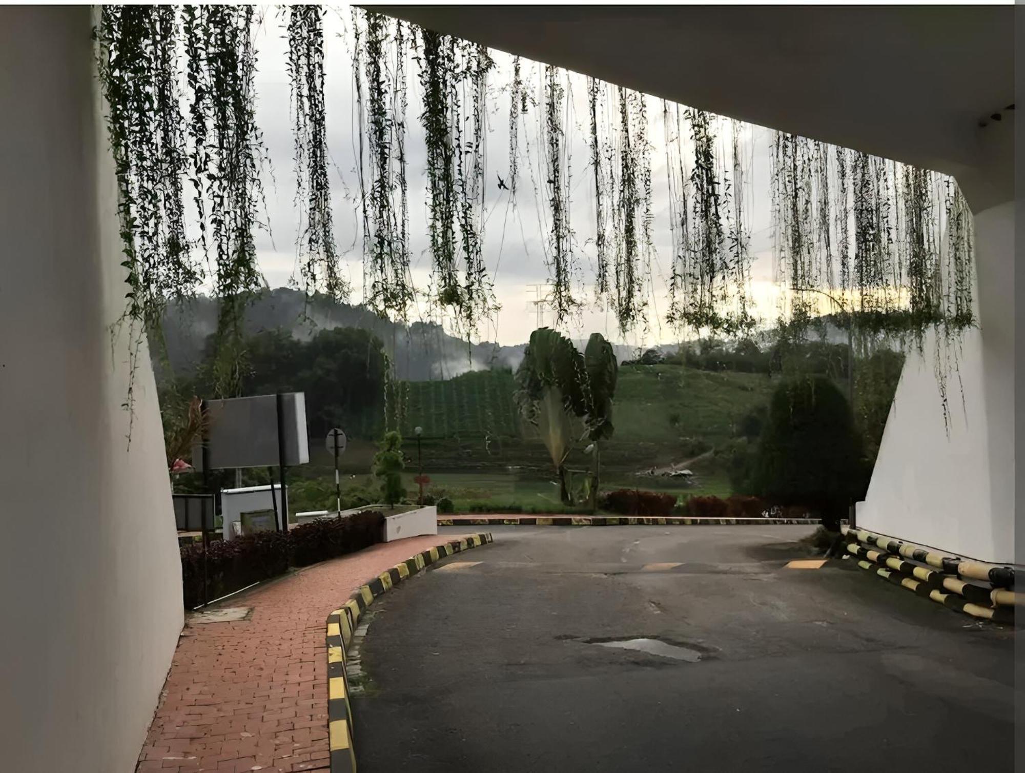 Bukit Tinggi Fuchsia Hillhomes Bagian luar foto